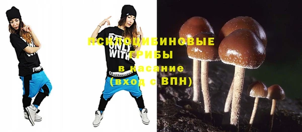 прущий лед Козловка