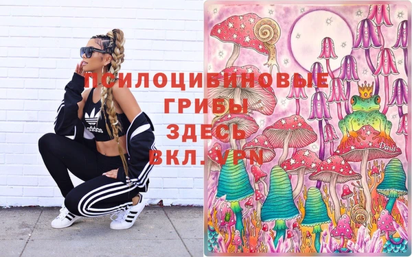 прущий лед Козловка