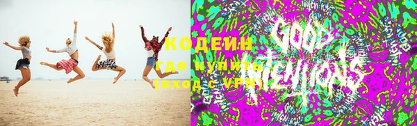 PSILOCYBIN Кодинск