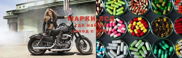 PSILOCYBIN Кодинск