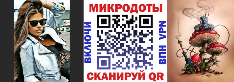 Галлюциногенные грибы Psilocybe  Купить где  Опочка 