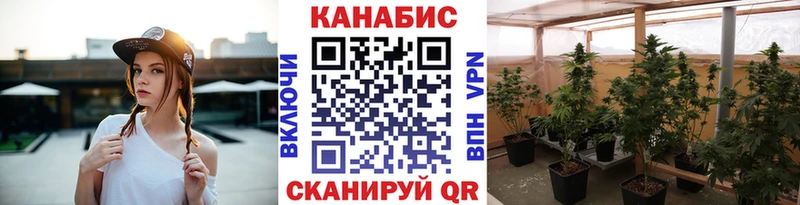 Купить закладки  Опочка  Шишки марихуана тримм 